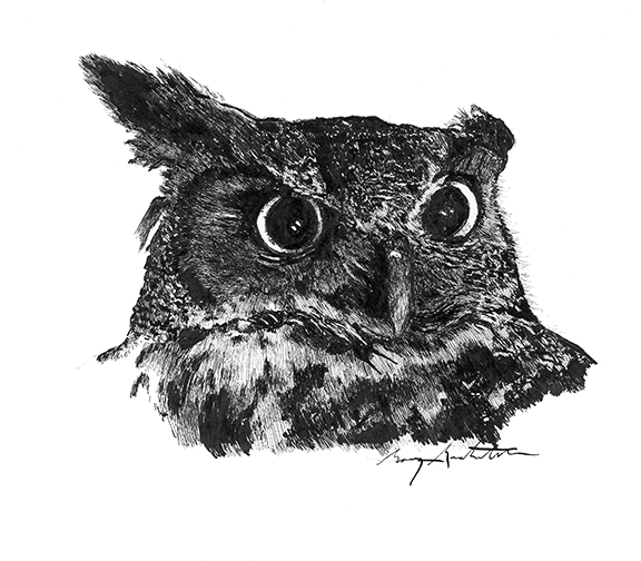 Owl Whisperer